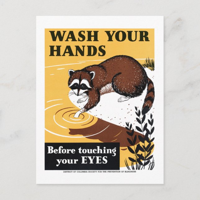 Postal Vintage Lávese las manos Raccoon Poster (Anverso)
