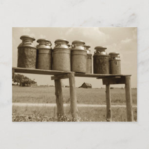 Postal Vintage Leche Cans