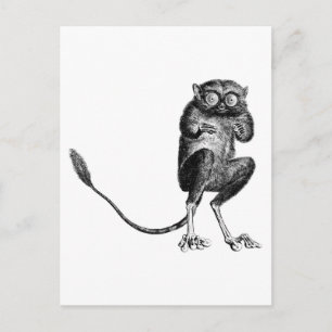 Postal Vintage Lemur