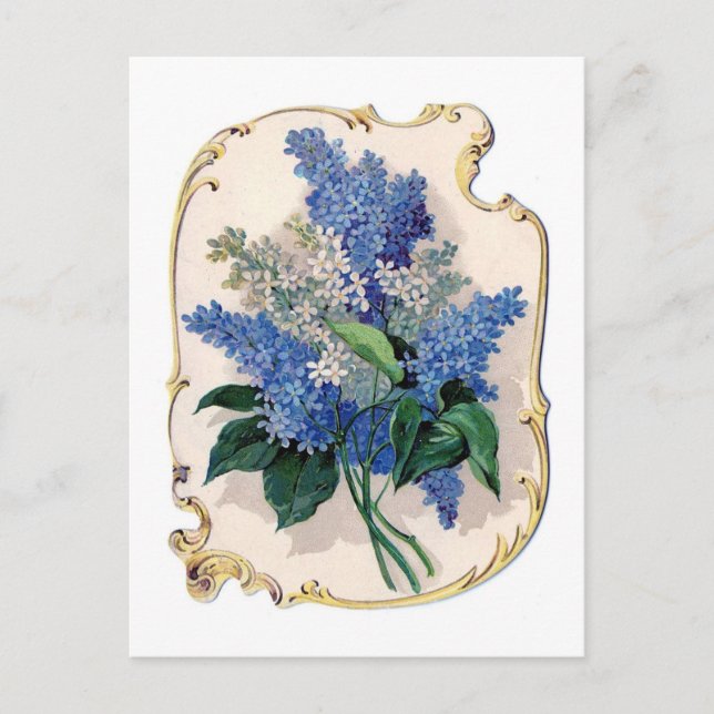 Postal Vintage Lilacs (Anverso)