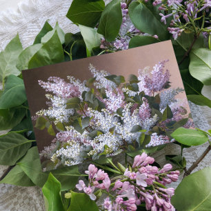 Postal Vintage Lilacs