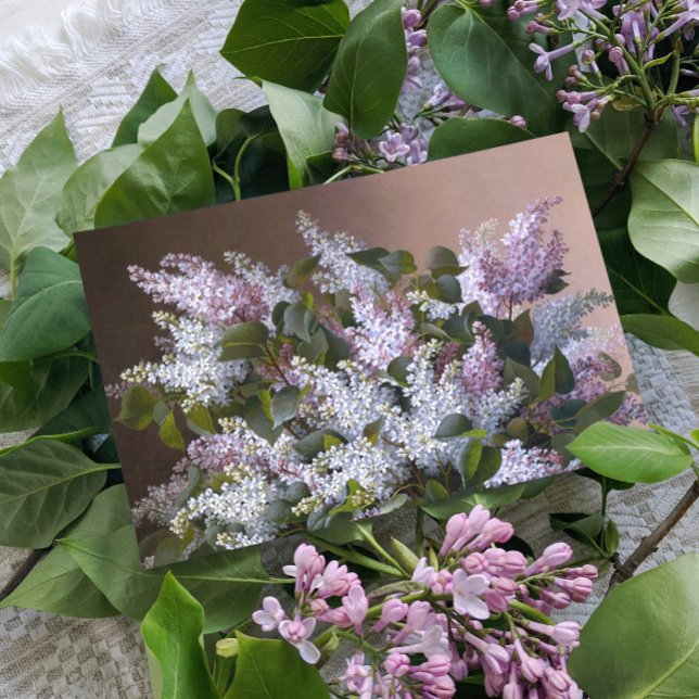 Postal Vintage Lilacs (Subido por el creador)