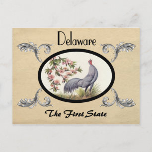 Postal Vintage Look Old Postcard Delaware State
