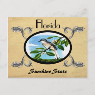 Postal Vintage Look Old Postcard Estado de Florida