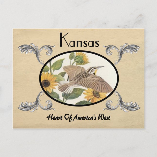 Postal Vintage Look Old Postcard Kansas State (Anverso)
