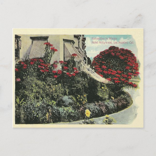 Postal Vintage Los Angeles California (Anverso)