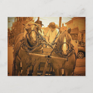 Postal Vintage Maine