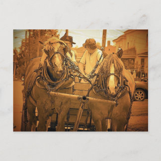 Postal Vintage Maine