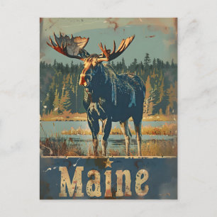 Postal Vintage Maine Moose
