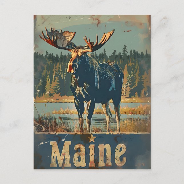 Postal Vintage Maine Moose (Anverso)
