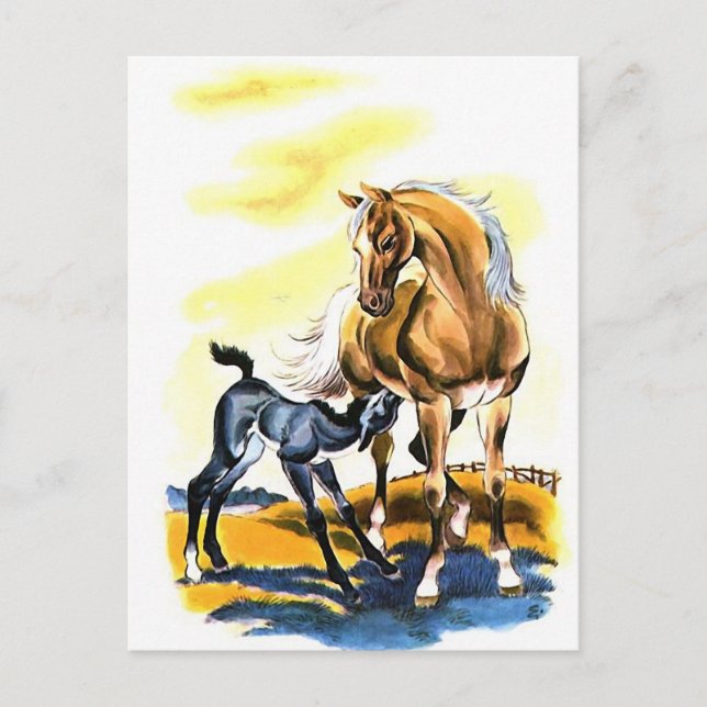 Postal Vintage Mare Colt Filly Horse Equestrian (Anverso)