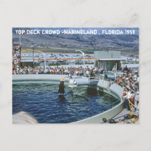 Postal Vintage Marineland Florida