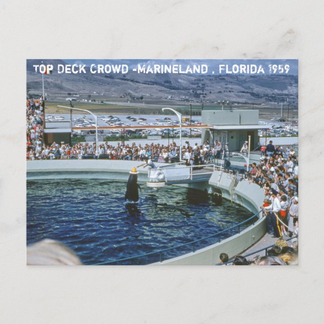 Postal Vintage Marineland Florida (Anverso)
