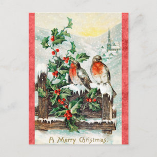 Postal Vintage Merry Christmas Bird Holly Snow