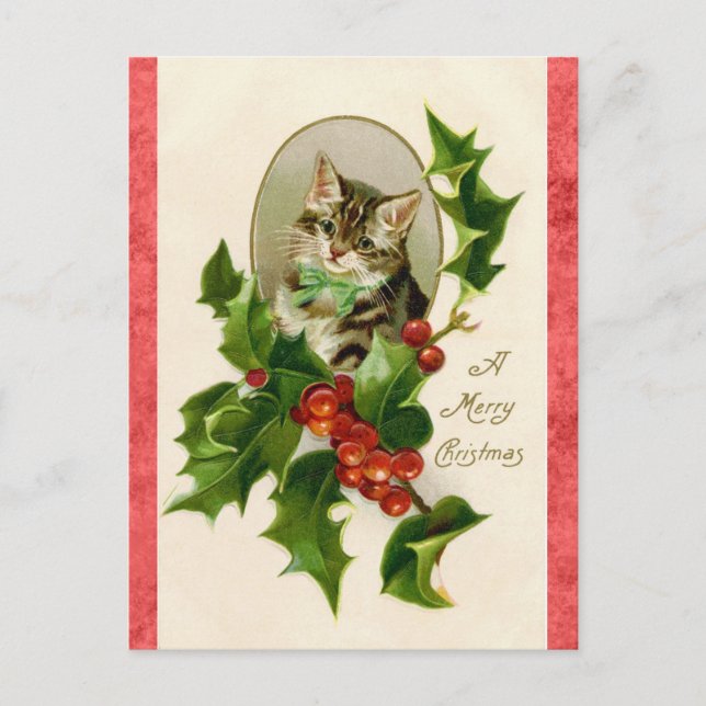 Postal Vintage Merry Christmas Greetings Cute Kitten Cat (Anverso)