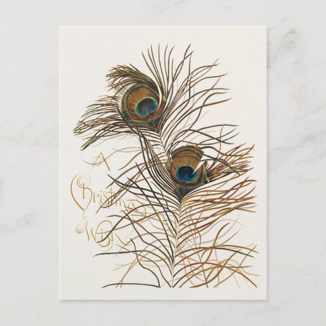 Postal Vintage Merry Christmas Peacock Fethers (Anverso)