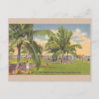 Postal Vintage Miami Beach Florida Sunbathing Post Card