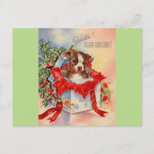 Postal Vintage Mid Century Bella Bebé Boston Terrier