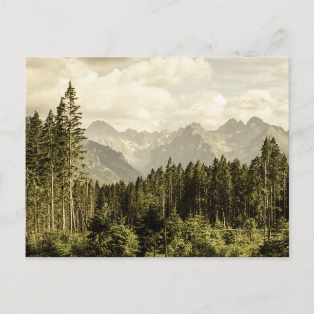 Postal Vintage Mountain Forest (Anverso)