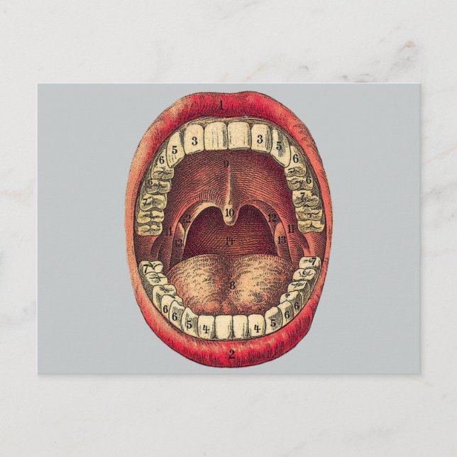 Postal Vintage Mouth (Anverso)