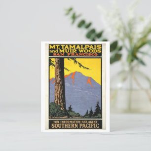 Postal Vintage Muir Woods y Mt Tamalpais 