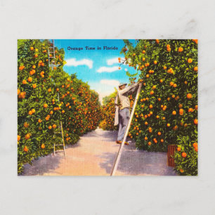 Postal Vintage Naranja Time in Florida Travel Postcard