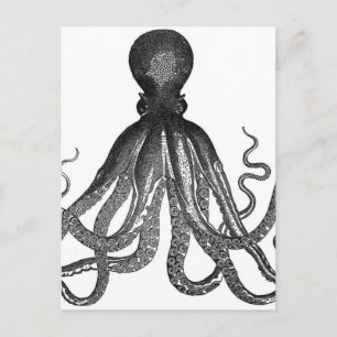 Postal Vintage Octopus Sea Animal