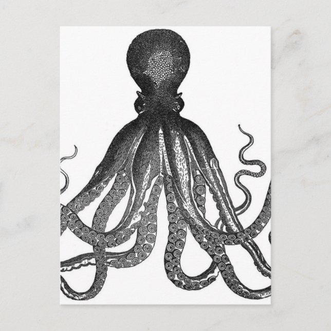 Postal Vintage Octopus Sea Animal (Anverso)