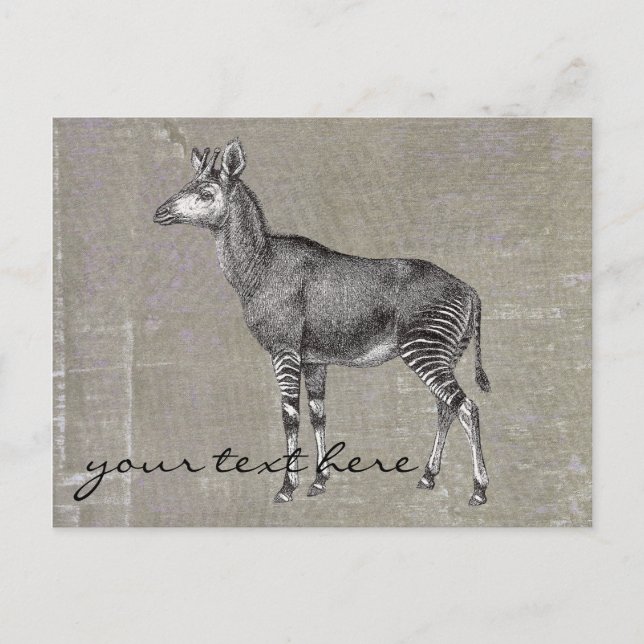 Postal Vintage Okapi (Anverso)