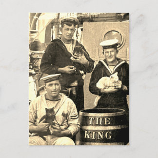 Postal Vintage Old Photo 3 Sailors Holding Cats