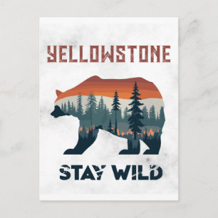 Postal Vintage Oso Pardo de Yellowstone Permanece Salvaje