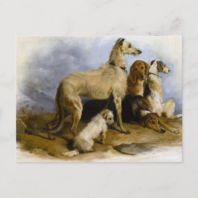 Postal Vintage painting of five cute dogs (Anverso)