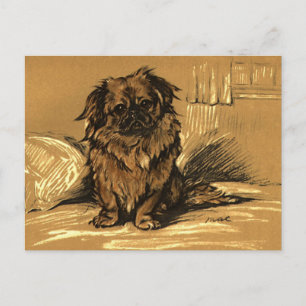 Postal Vintage Pekingeses