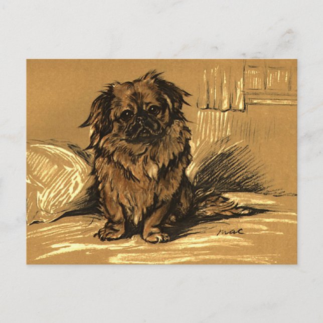 Postal Vintage Pekingeses (Anverso)