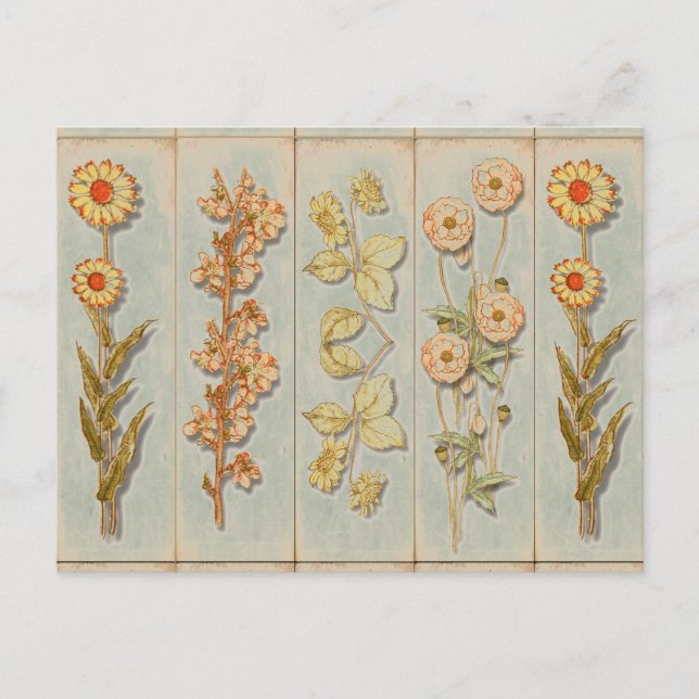 Postal Vintage Plant Ilustraciones (Anverso)