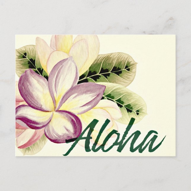 Postal Vintage Plumeria Aloha (Anverso)
