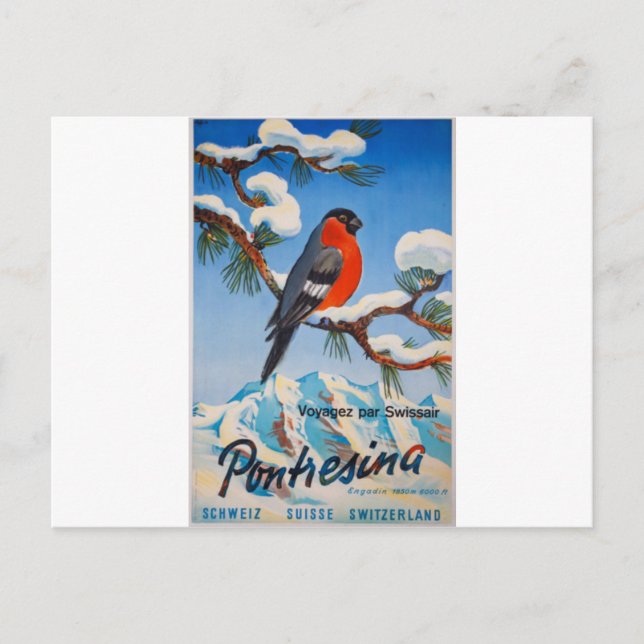 Postal Vintage Pontresina Vacation Swiss Air Suiza (Anverso)