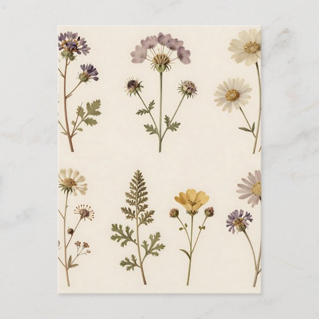 Postal Vintage Pressed Wildflower Botanical Pattern (Anverso)