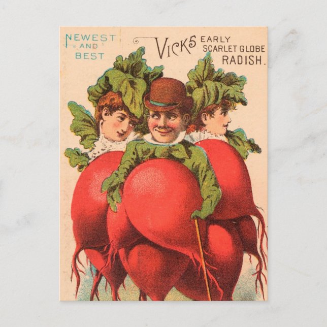 Postal Vintage : publicidad agrícola - (Anverso)