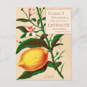 Postal Vintage : publicidad alimentaria -