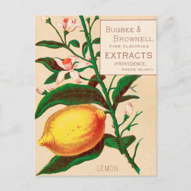 Postal Vintage : publicidad alimentaria - (Anverso)