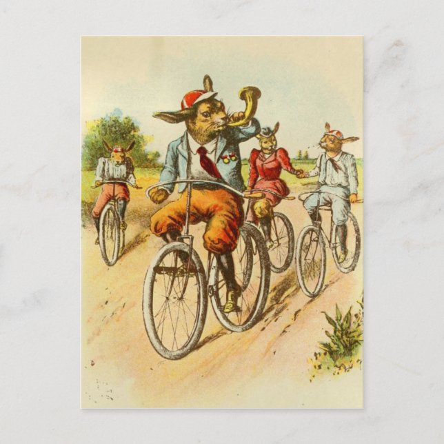 Postal Vintage Rabbits Riding Bicycles Postcard (Anverso)
