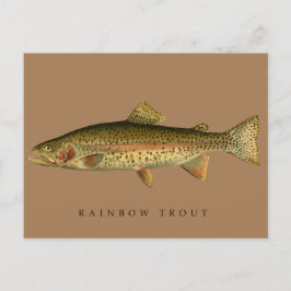 Postal Vintage Rainbow Trout