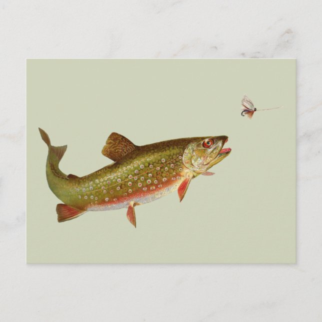 Postal Vintage Rainbow Trout Fly Fishing (Anverso)