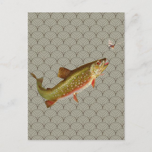 Postal Vintage Rainbow Trout Fly Fishing (Anverso)
