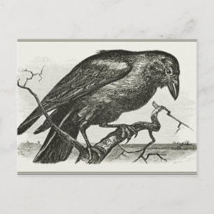 Postal Vintage Raven Woodcut
