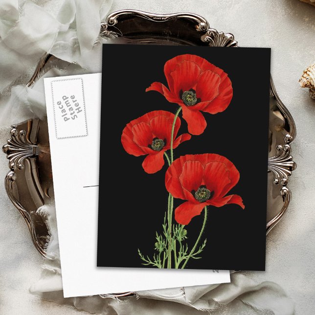 Postal Vintage Red Poppies Botánico (Subido por el creador)