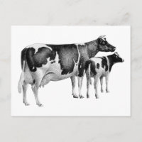 Vintage Rústica Granja de vaca de dibujo blanco ne