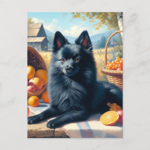 Postal Vintage Schipperke Puppy Pintura