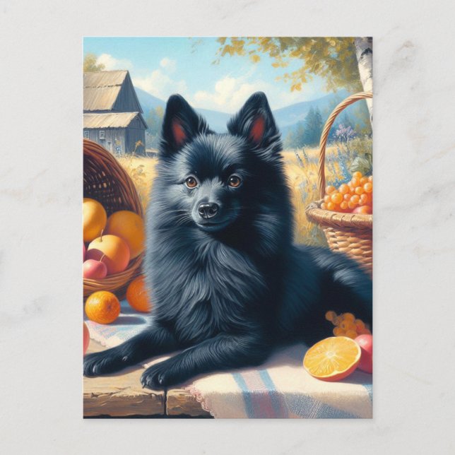 Postal Vintage Schipperke Puppy Pintura (Anverso)